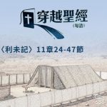 穿越聖經（189） - 〈利未記〉11章24-47節