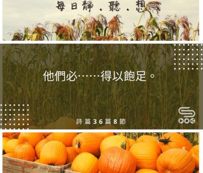 Soooradio每日靜．聽．想（496） - 釋放後　展翅凌雲 2021-08-09