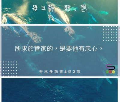 Soooradio每日靜．聽．想（513） - 進口與出口 2021-08-26