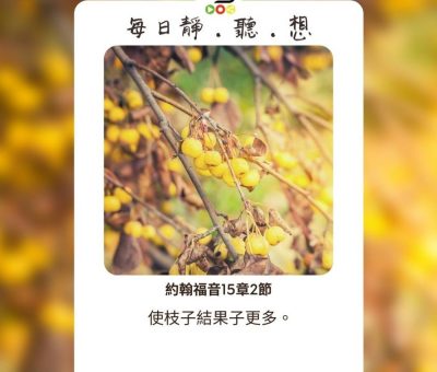 Soooradio每日靜．聽．想（545） - 沙漠和溫室的花 2021-09-27