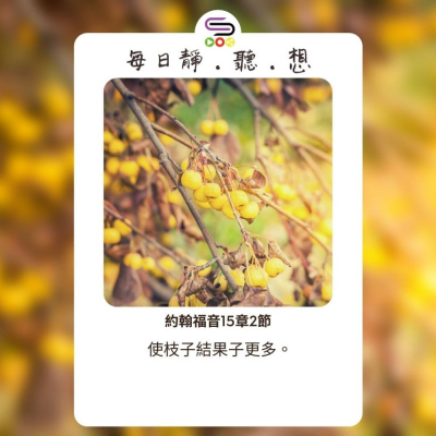 每日靜．聽．想（545） -沙漠和溫室的花