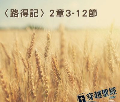 Soooradio穿越聖經（359） - 〈路得記〉2章3-12節