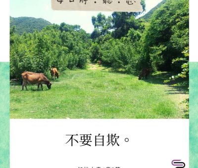 Soooradio每日靜．聽．想（552） - 蝴蝶是僞裝的毛蟲 2021-10-04
