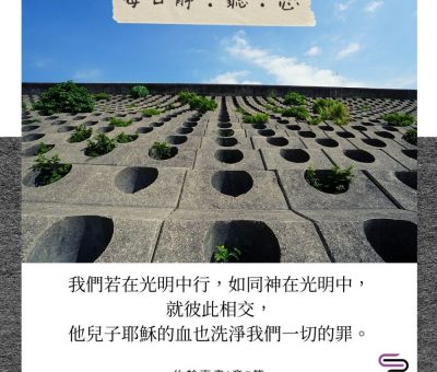 Soooradio每日靜．聽．想（559） - 蜘蛛網的啓示 2021-10-11