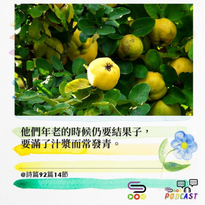 Soooradio 基督教廣播電台 每日 靜．聽．想 2022（010） -詩篇92篇14節