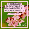 Soooradio 基督教廣播電台 每日 靜．聽．想 2022（077） - 出埃及記33章17節