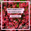 Soooradio 基督教廣播電台 每日 靜．聽．想 2022（081） - 約伯記26章7節