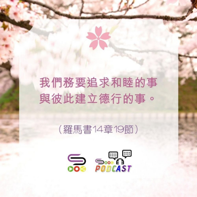 Soooradio 基督教廣播電台 每日 靜．聽．想 2022（114） -羅馬書14章19節