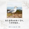Soooradio 基督教廣播電台 每日 靜．聽．想 2022（122） - 腓立比書4章13節