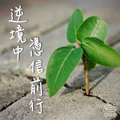 逆境中憑信前行III