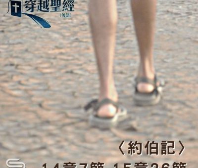 Soooradio 基督教廣播電台 穿越聖經（596） - 〈約伯記〉14章7節-15章26節