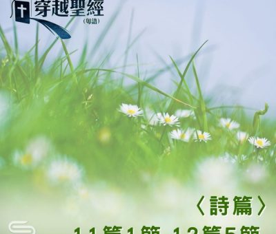 Soooradio 基督教廣播電台 穿越聖經（635） - 〈詩篇〉11篇1節-12篇5節