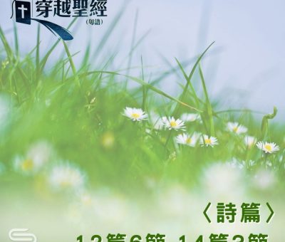 Soooradio 基督教廣播電台 穿越聖經（636） - 〈詩篇〉12篇6節-14篇3節