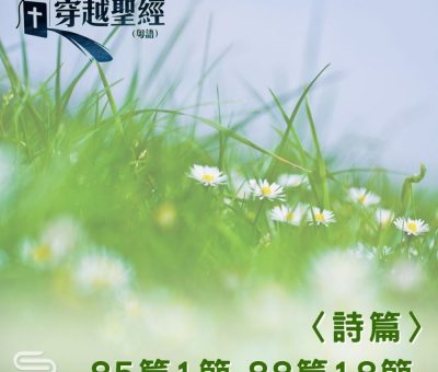 Soooradio 基督教廣播電台 穿越聖經（673） - 〈詩篇〉85篇1節-88篇18節
