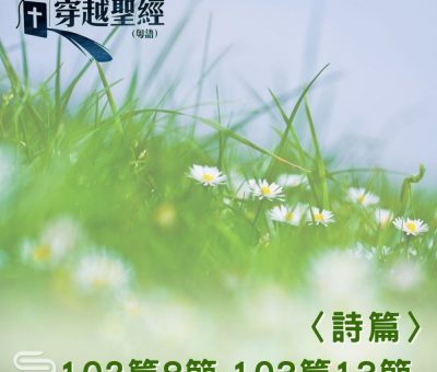 Soooradio 基督教廣播電台 穿越聖經（679） - 〈詩篇〉102篇8節-103篇13節