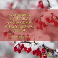 Soooradio 基督教廣播電台 每日 靜．聽．想 2023（020） - 提摩太前書5章8節