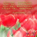 Soooradio 基督教廣播電台 每日 靜．聽．想 2023（022） - 馬太福音5章3-6節