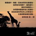 Soooradio 基督教廣播電台 每日 靜．聽．想 2023（033） - 彼得前書5章8-9節