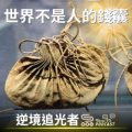 Soooradio 基督教廣播電台 逆境追光者（44）-世界不是人的錢囊