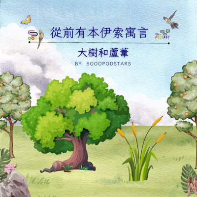Soooradio 基督教廣播電台 從前有本伊索寓言（40）- 大樹和蘆葦