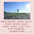 Soooradio 基督教廣播電台 每日 靜．聽．想 2023（226） - 雅各書3 章17-18節