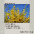 Soooradio 基督教廣播電台 每日 靜．聽．想 2024（014） - 神引領前路