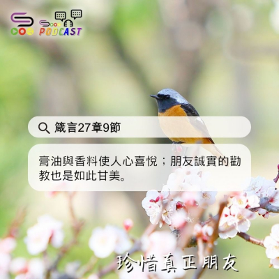 Soooradio 基督教廣播電台 每日 靜．聽．想 2024（106） -箴言27章9節