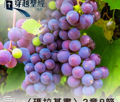 Soooradio 基督教廣播電台 穿越聖經（1232） - 〈瑪拉基書〉3章8節