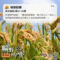 Soooradio 基督教廣播電台 曠野嗎哪（525） - 收割莊稼