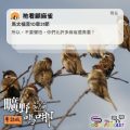 Soooradio 基督教廣播電台 曠野嗎哪（536） - 祂看顧麻雀