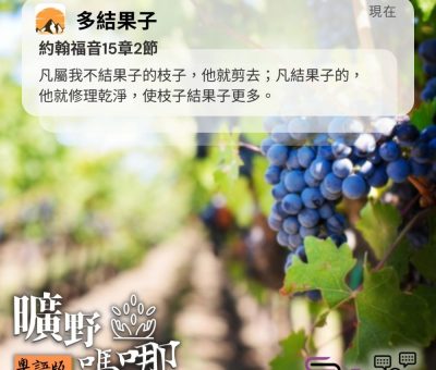 Soooradio 基督教廣播電台 曠野嗎哪（560） - 多結果子