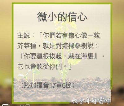 Soooradio 基督教廣播電台 教會年曆靈修（0309） - 微小的信心