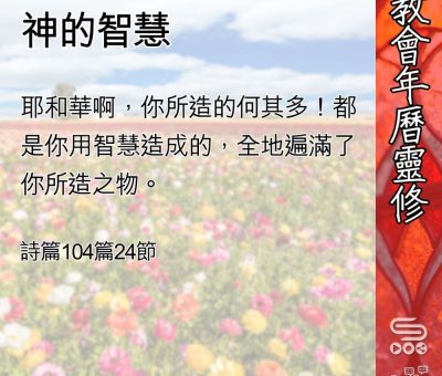 Soooradio 基督教廣播電台 教會年曆靈修（0537） - 神的智慧