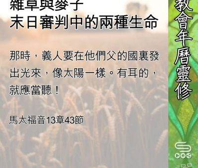 Soooradio 基督教廣播電台 教會年曆靈修（0600） - 雜草與麥子
